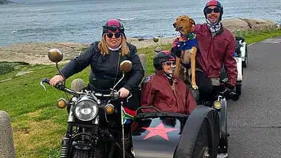 Motorcycle Sidecar Tours People Sitting In Sidecar Man With Dog